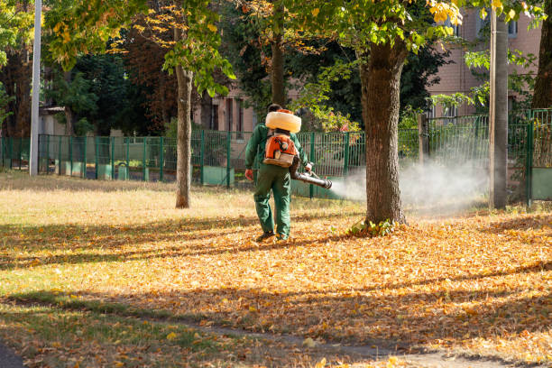 Best Insect Control  in New Albany, MS